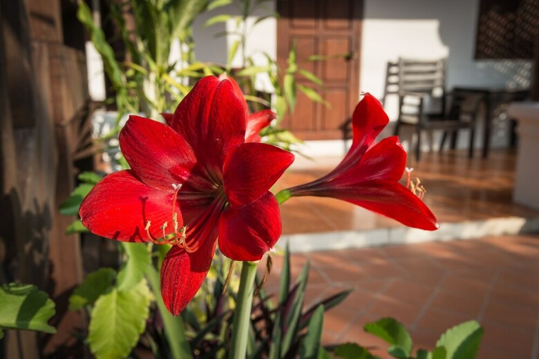 Mylaohome Hotel & Spa