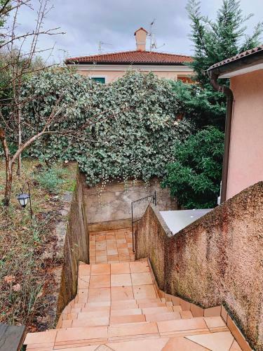 Apartamentos Villa Mihaela