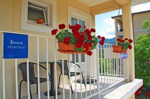 Apartments Kolmanic