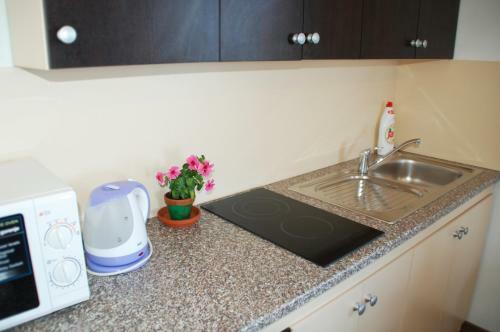 Apartments Kolmanic