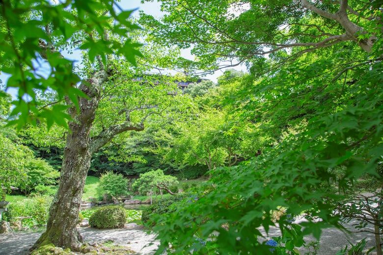 Arima Onsen Motoyu Kosenkaku
