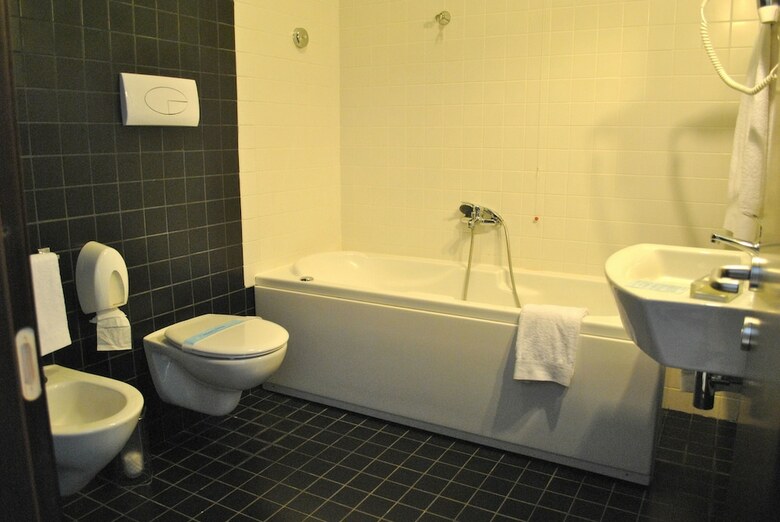 Hotel Althea Palace