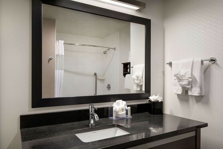 Hotel Hampton Inn & Suites Denver Downtown-convention Center