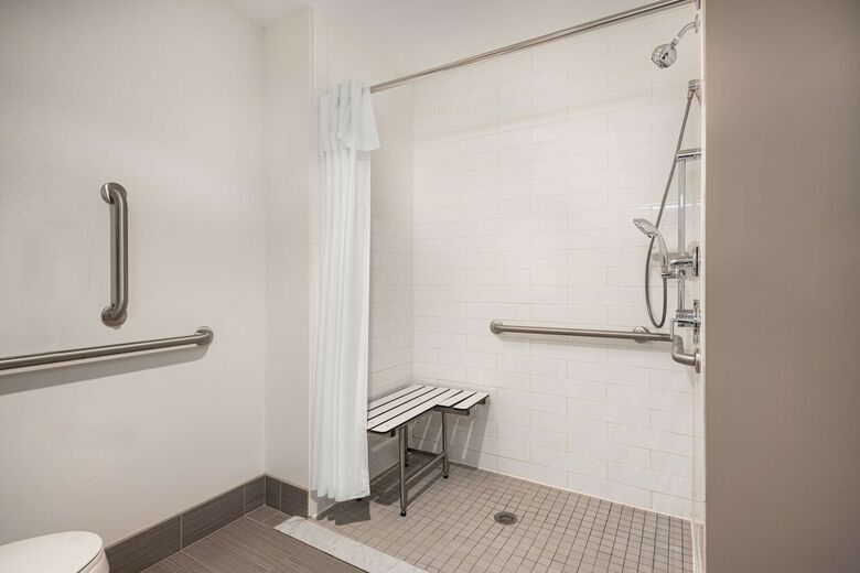 Hotel Hampton Inn & Suites Denver Downtown-convention Center