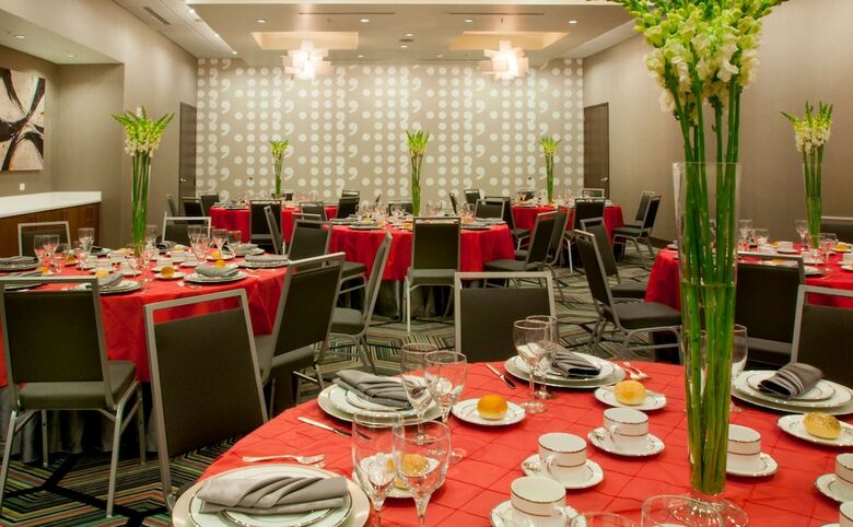 Hotel Hampton Inn & Suites Denver Downtown-convention Center
