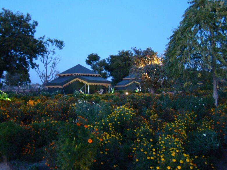 Orchard Tents & Tranquility