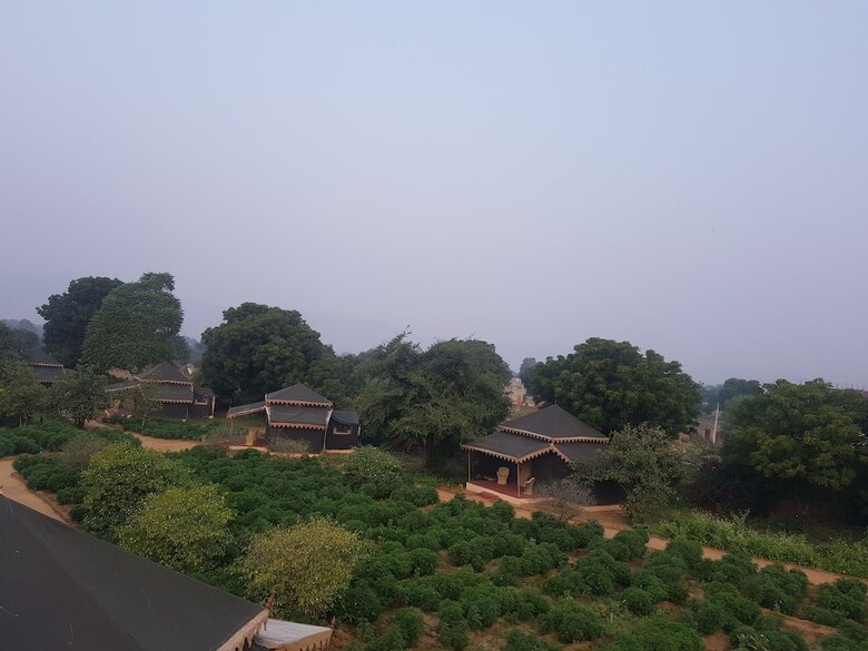 Orchard Tents & Tranquility