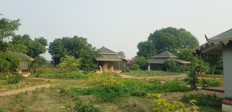 Orchard Tents & Tranquility