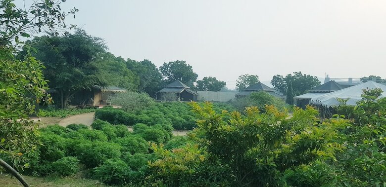 Orchard Tents & Tranquility