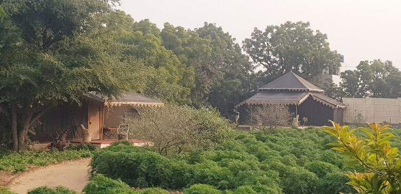 Orchard Tents & Tranquility