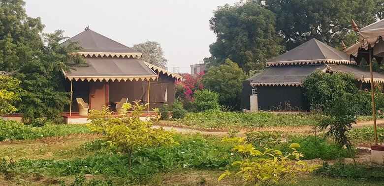 Orchard Tents & Tranquility