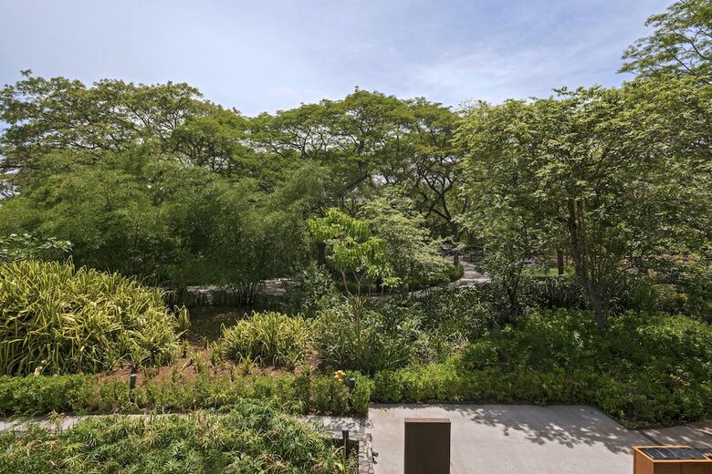 Hotel El Mangroove Papagayo, Autograph Collection