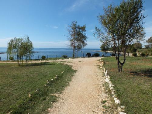 Apartamentos Residence Lavanda