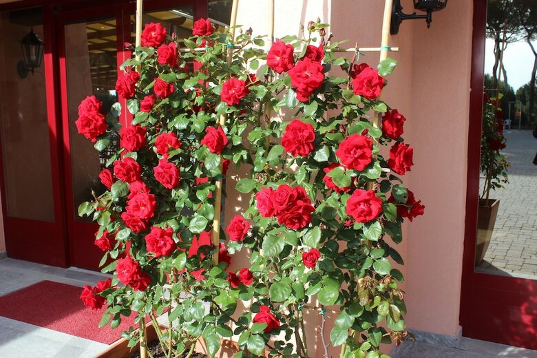 Corte Dei Tusci Village Palace Hotel