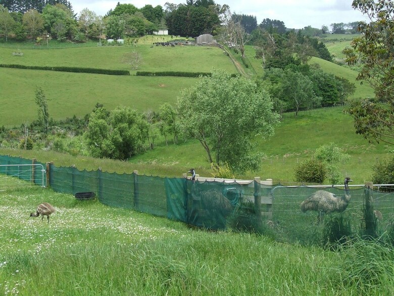 Runciman Berries And Emus B&B