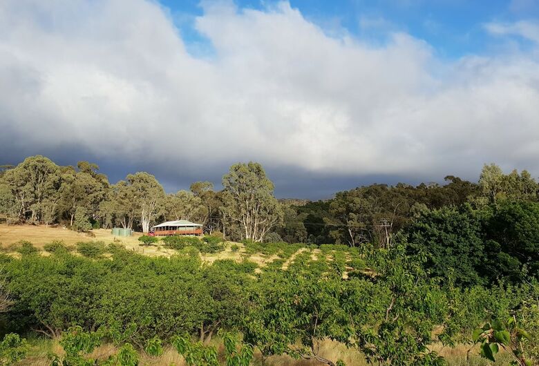 Bed & Breakfast Taralee Orchards