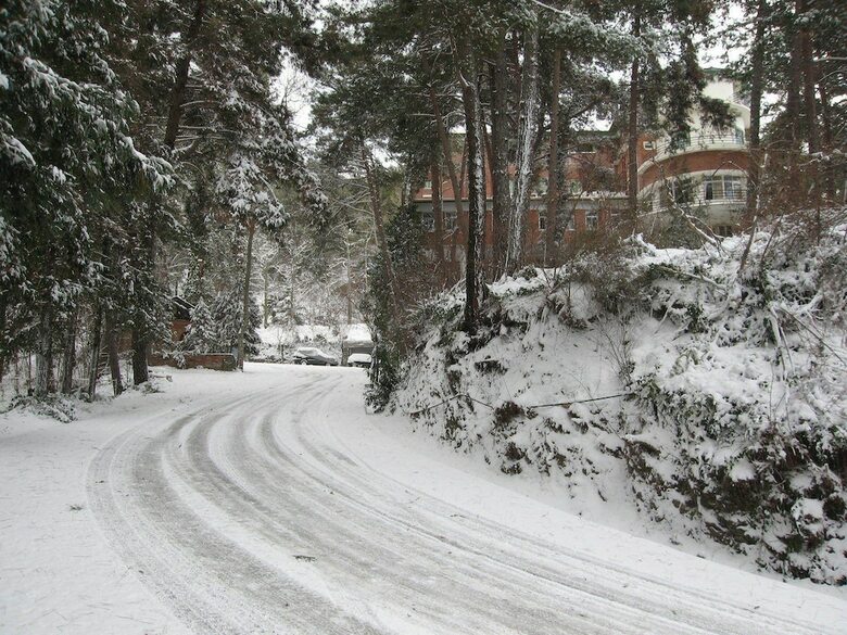 Forest Park Hotel