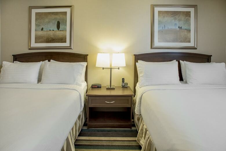 Hotel Holiday Inn Conference Center Edmonton South