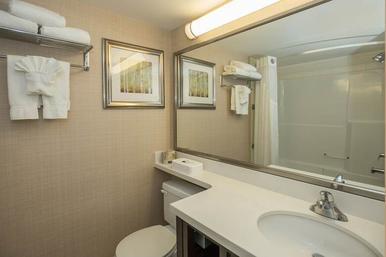 Hotel Holiday Inn Conference Center Edmonton South