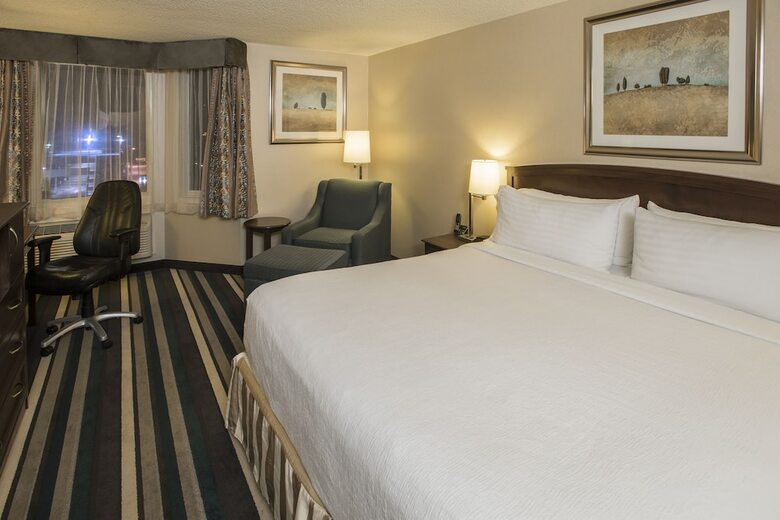 Hotel Holiday Inn Conference Center Edmonton South