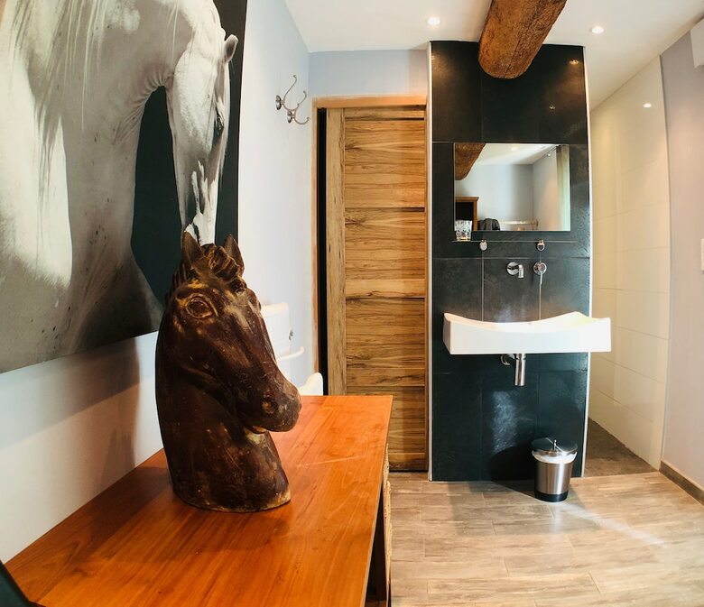 Hotel Mas Guiraud