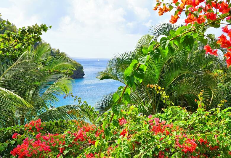 Apartamento Marigot Beach Club And Dive Resort