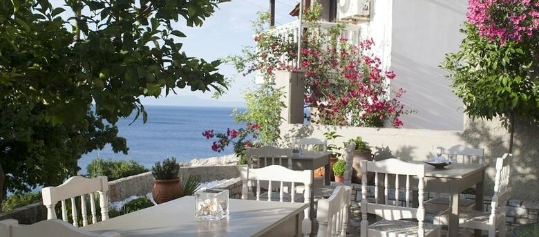 Bed & Breakfast Hotel Cattleya