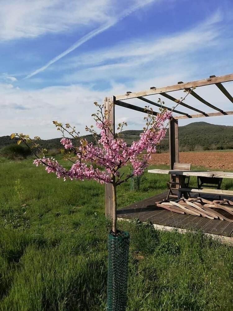 Agroturismo Agriturismo Pian Di Meta Vecchia