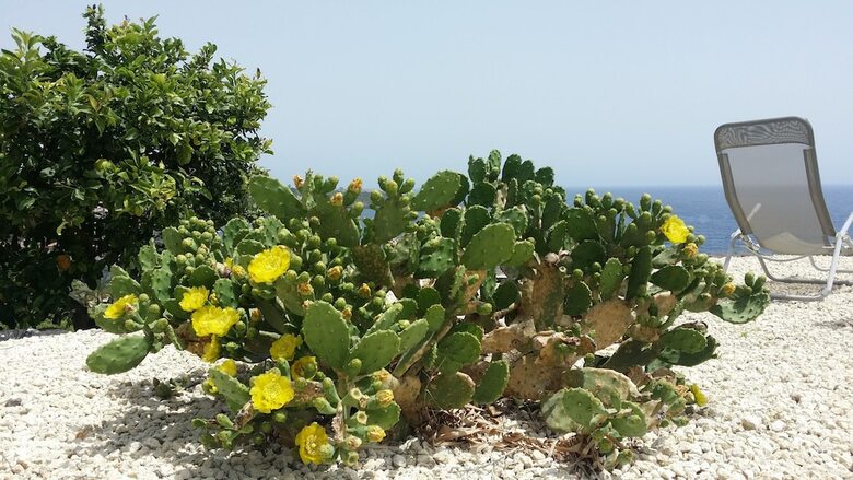 Apartamentos Casavacanze Maia Volcani