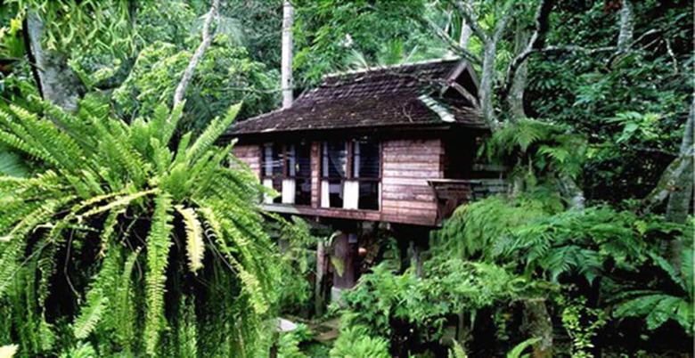 Hotel Fern Paradise