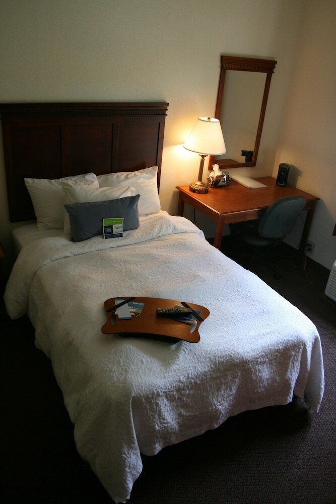 Hotel Hampton Inn Albany-wolf Road (Airport)
