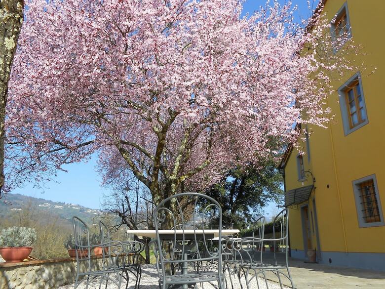 Agroturismo Amedea Tuscany Country Experience
