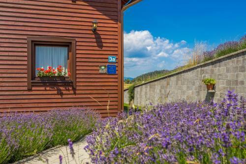 Hostal Agrotourism Japodi