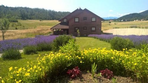 Hostal Agrotourism Japodi