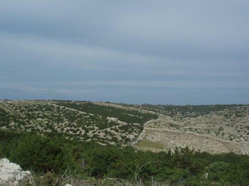 Mala Villa
