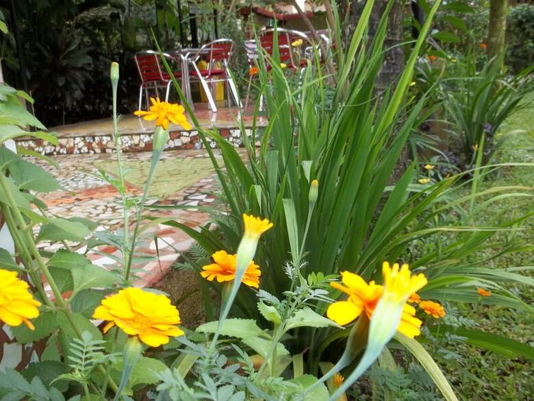 Apartamentos Hotel Tierra Del Fuego