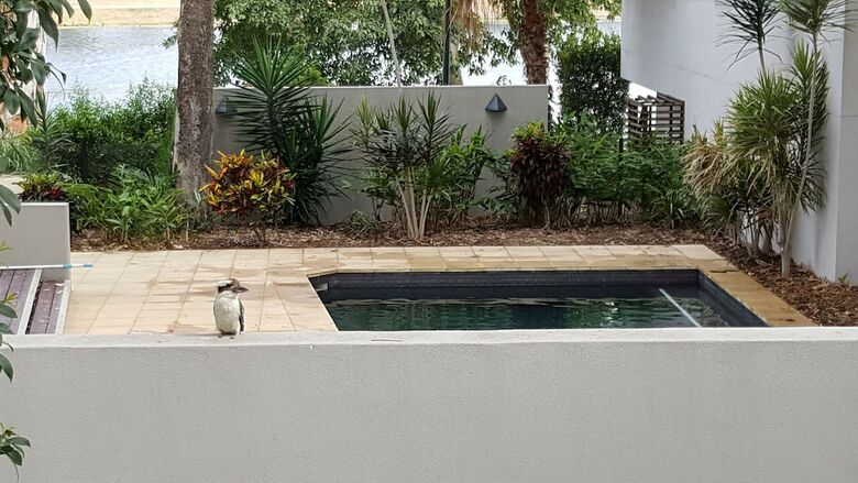 Jacana Apartments