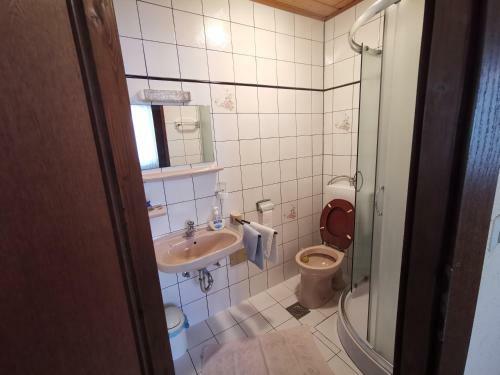 Apartments Dijana
