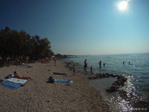Apartments Dijana