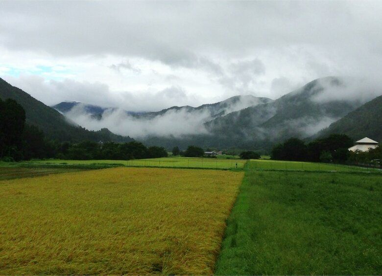 Villa Miyama Futon & Breakfast Thatched Cottages