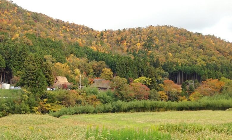 Villa Miyama Futon & Breakfast Thatched Cottages