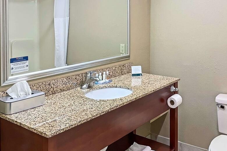 Hotel Quality Inn & Suites Georgetown - Seaford