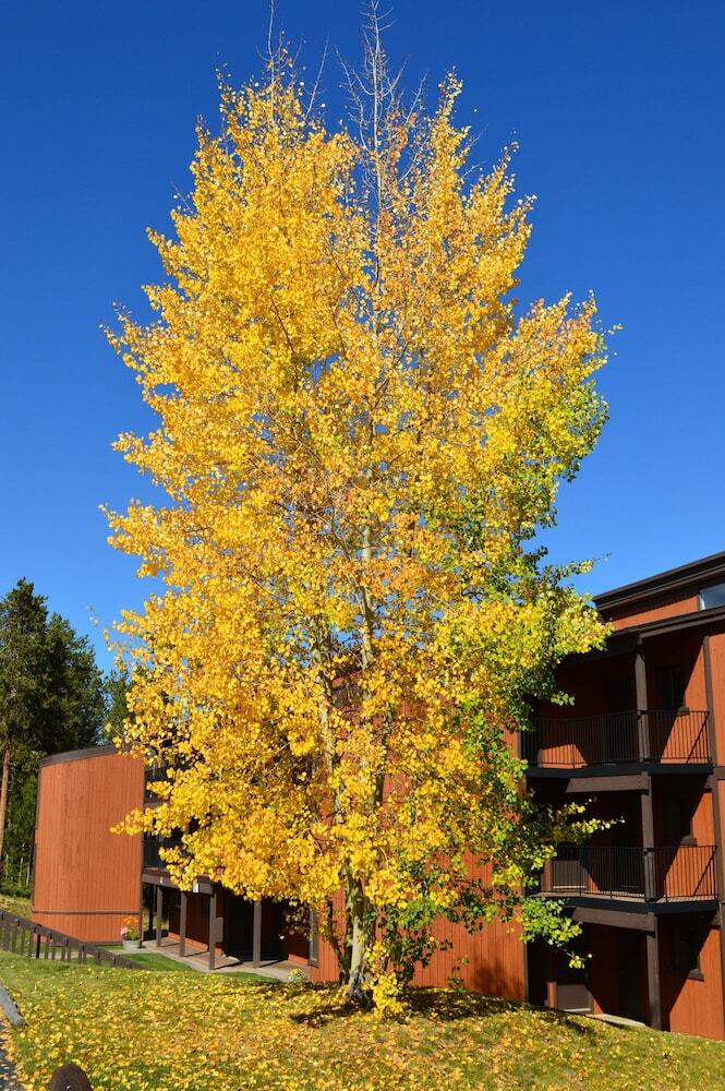 Beaver Village Condos By Staywinterpark