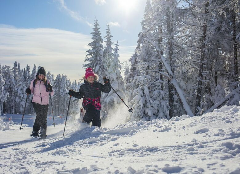 Hotel Holiday Inn Express And Suites Tremblant