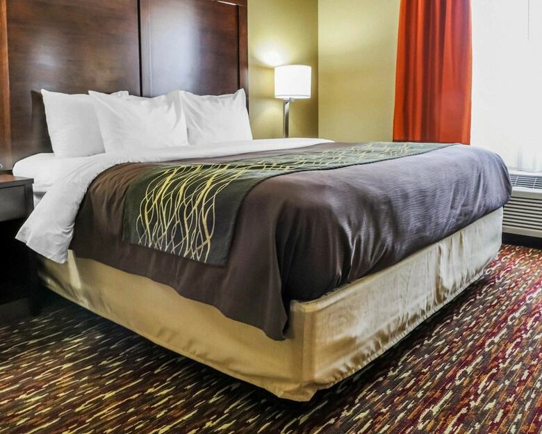 Hotel Comfort Inn & Suites Artesia