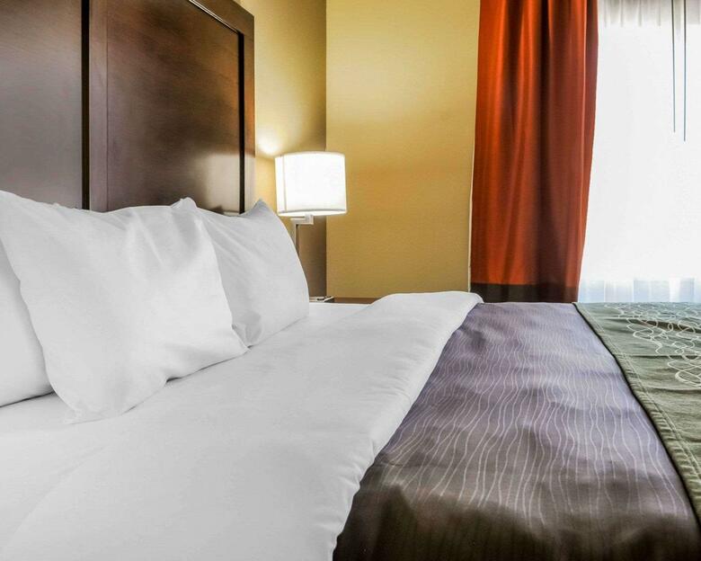 Hotel Comfort Inn & Suites Artesia