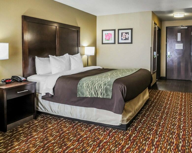 Hotel Comfort Inn & Suites Artesia