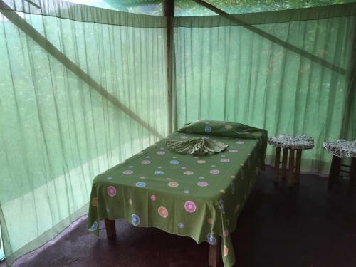 Isla Violin Eco-lodge