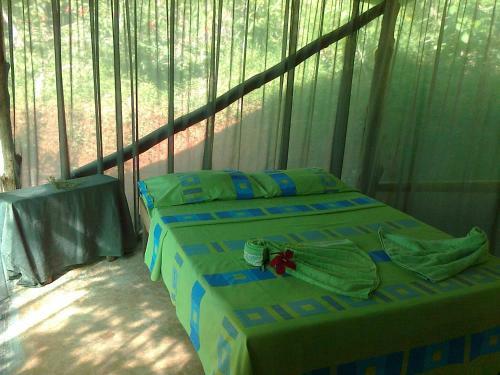 Isla Violin Eco-lodge