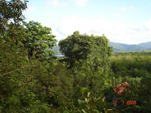 Isla Violin Eco-lodge